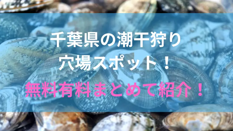 千葉県の潮干狩り穴場スポット　アイキャッチ