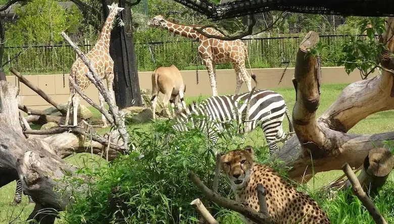 ズーラシアの動物の写真