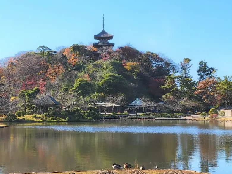 三溪園紅葉の写真2