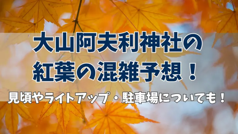 大山阿夫利神社の紅葉のアイキャッチ画像