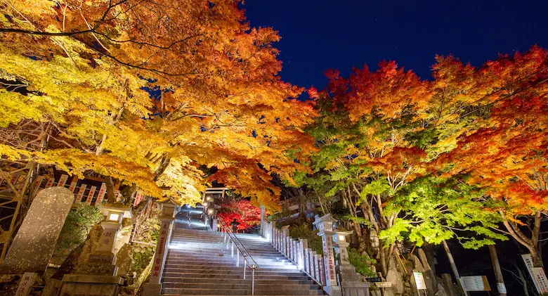 大山阿夫利神社紅葉の写真1