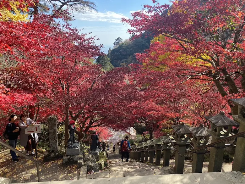 大山阿夫利神社紅葉の写真2