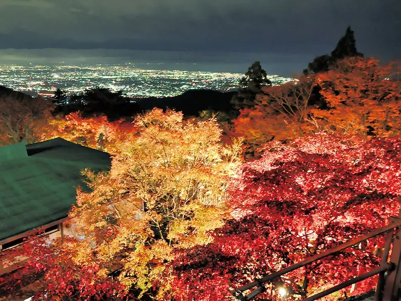 大山阿夫利神社紅葉の写真3