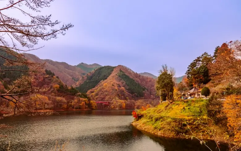 奥多摩の紅葉写真2