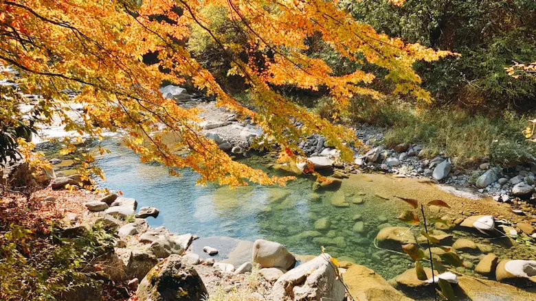 紅葉と川の風景写真