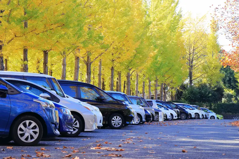 紅葉と駐車場の写真