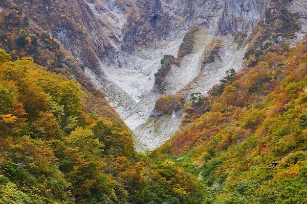 谷川岳ロープウェイの三段紅葉の写真