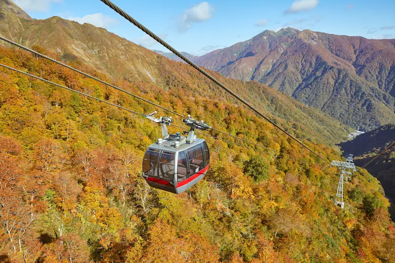 谷川岳ロープウェイ紅葉の写真1