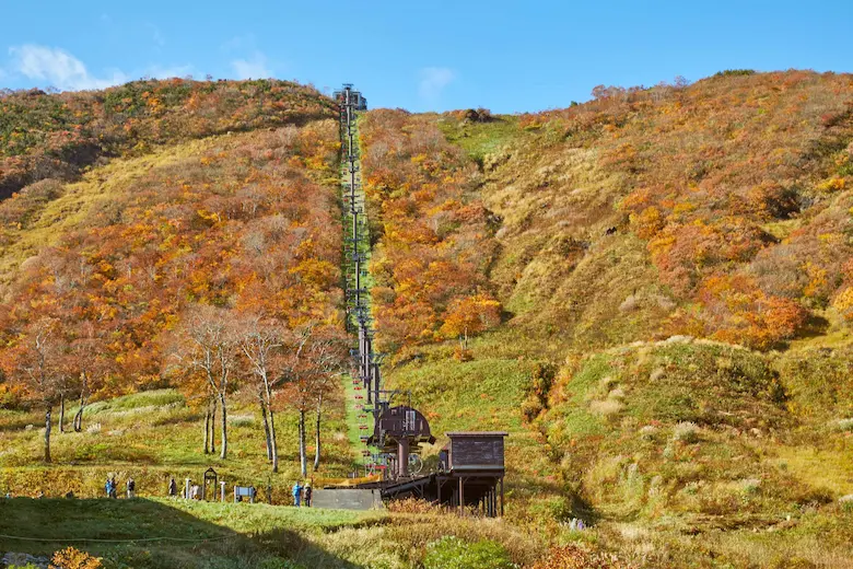 谷川岳ロープウェイ紅葉の写真2